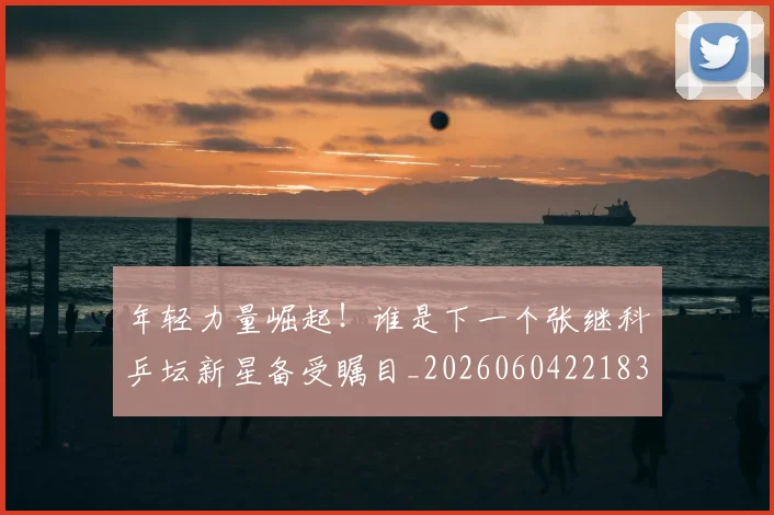 年轻力量崛起!谁是下一个张继科乒坛新星备受瞩目_20260604221835_20260707151916