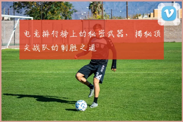 电竞排行榜上的秘密武器，揭秘顶尖战队的制胜之道